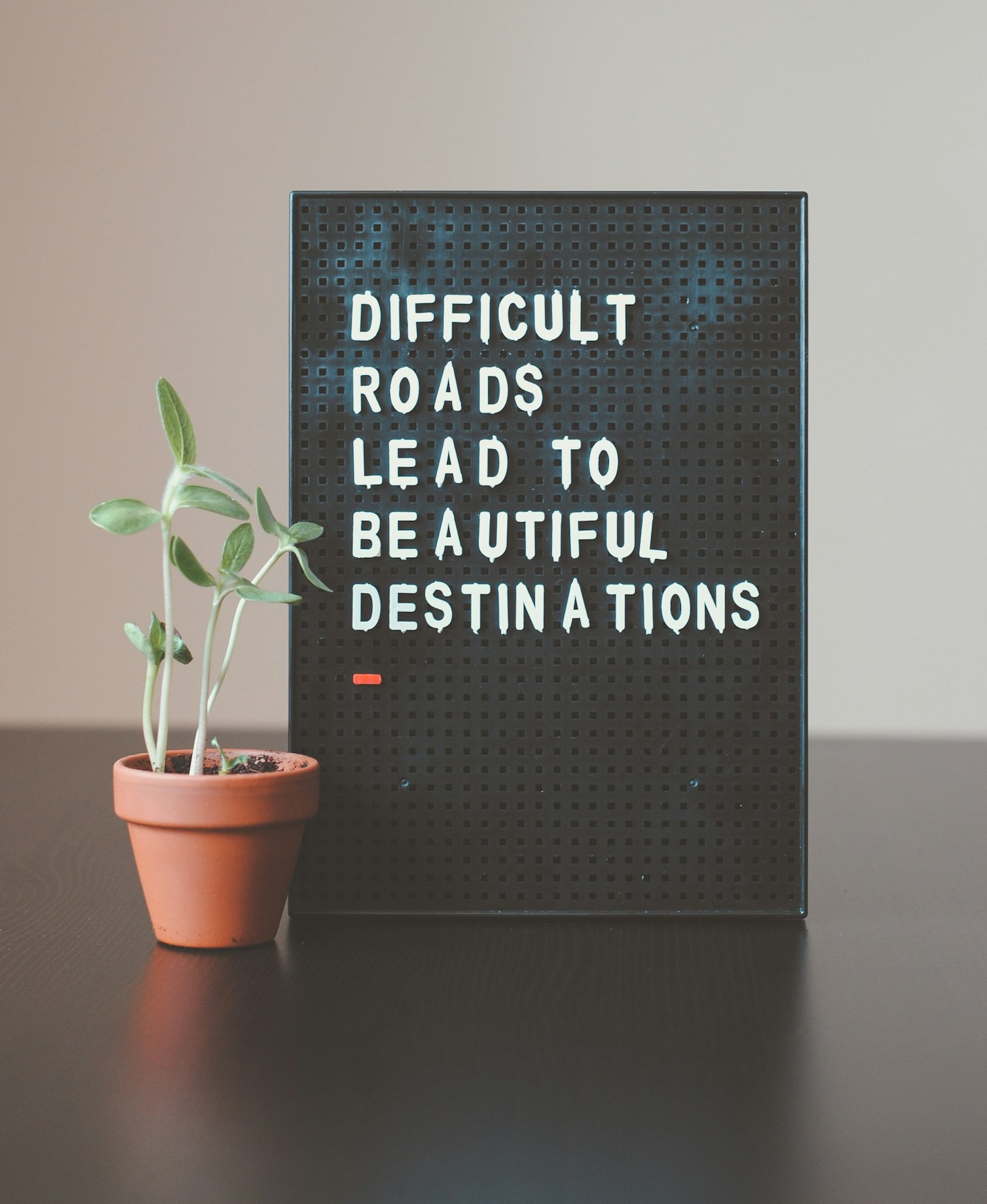 The Power of Personalized Mentorship